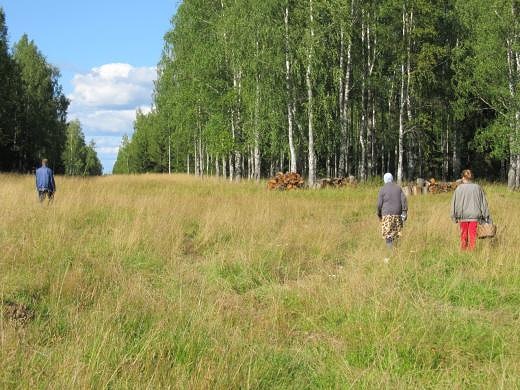 Photo 226@14-02-2020 08-49-31 Thumb