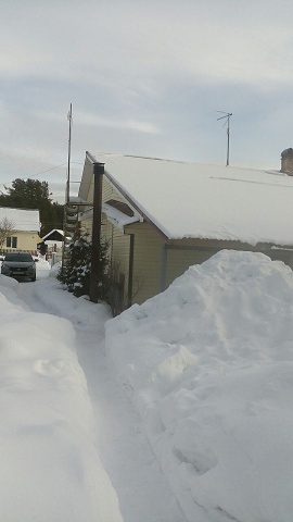 Photo 268@16-02-2020 12-52-05