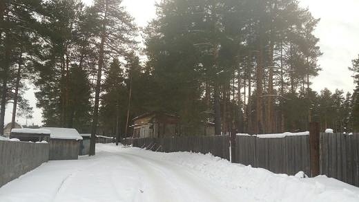 Photo 280@16-02-2020 14-40-58 Thumb