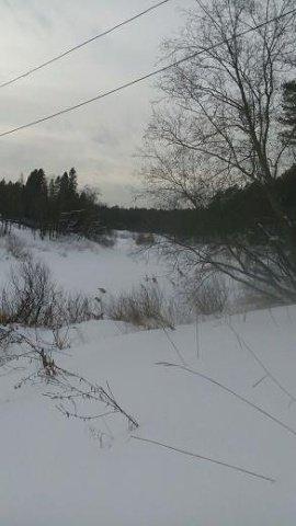 Photo 283@16-02-2020 15-00-23 Thumb