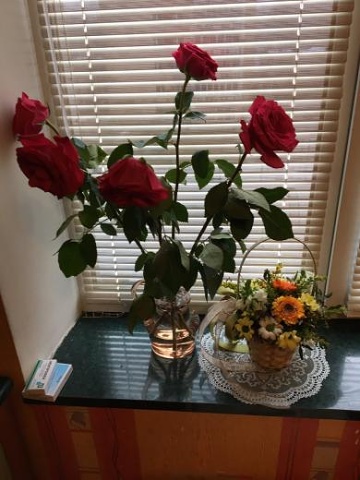 Photo 543@09-03-2020 14-56-49 Thumb