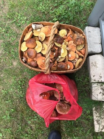 Photo 619@16-08-2020 12-11-26 Thumb