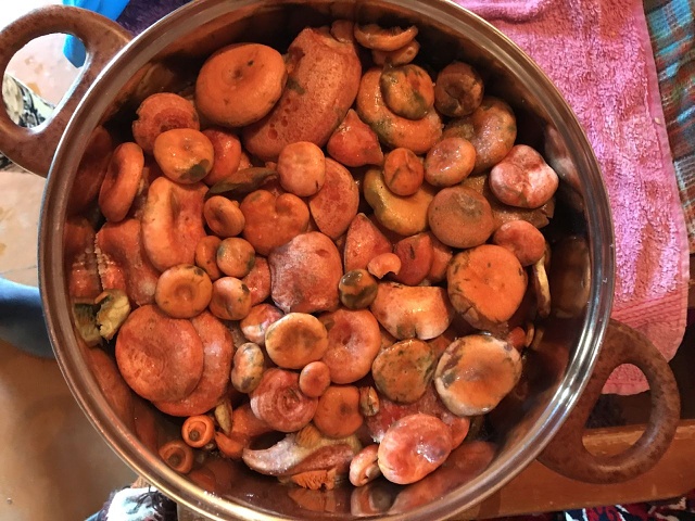 Photo 622@16-08-2020 14-27-13